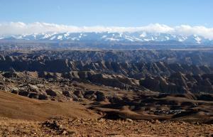 Zhada Earth Forest
